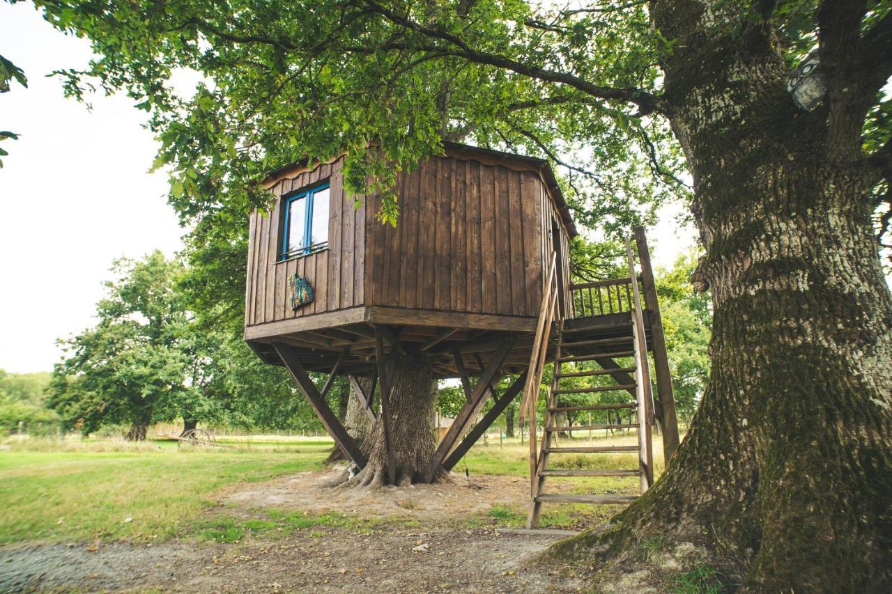 La Ferme De Piardiere Plesse Экстерьер фото
